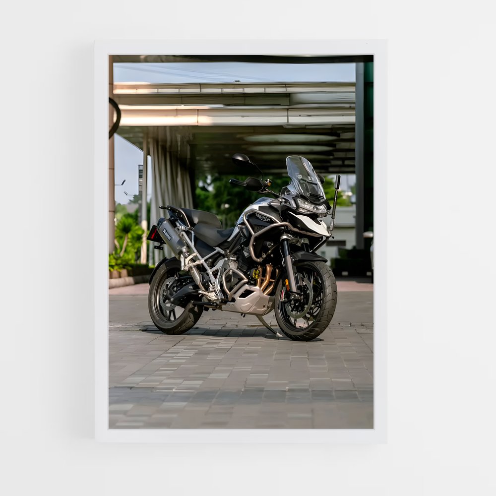 Poster Tigre Majestueux 1200 – affiche Triumph (vue 3)